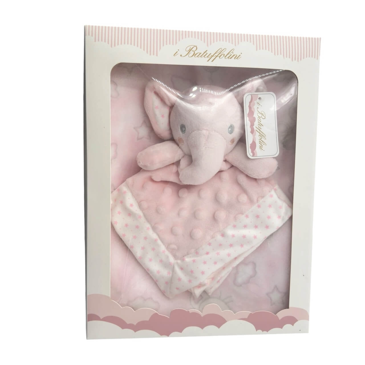 Alt immagine