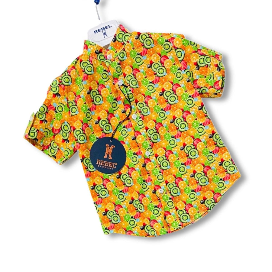 Camicia in Cotone