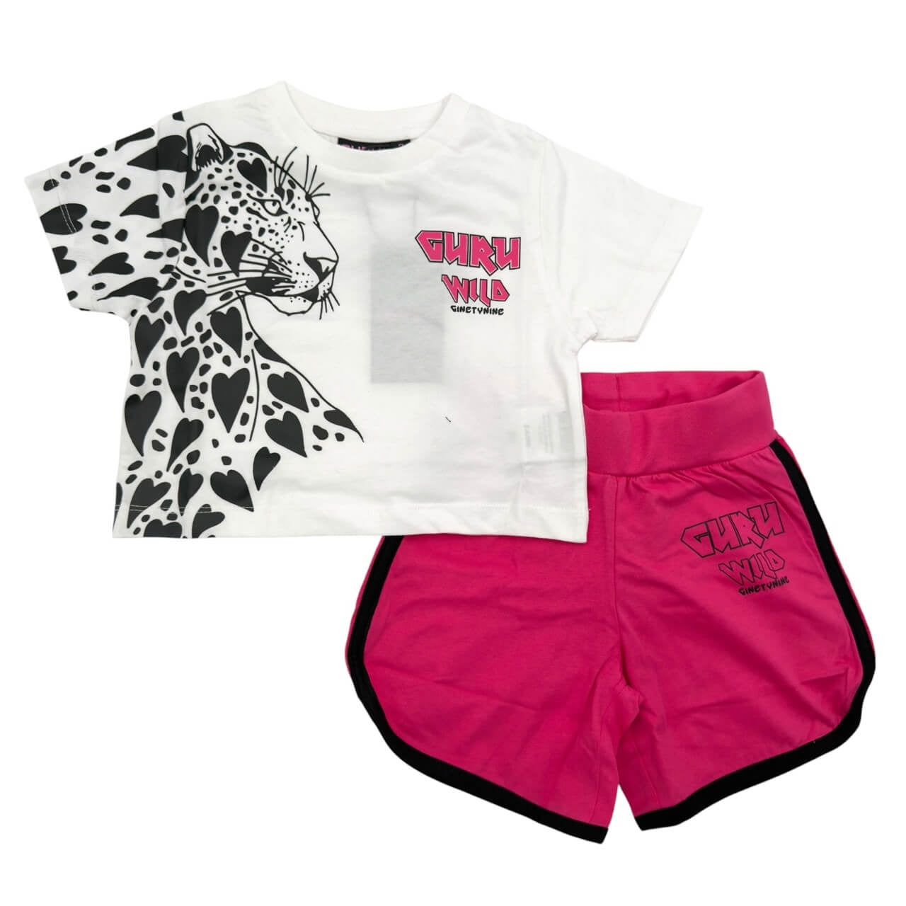 Completo Bimba Guru