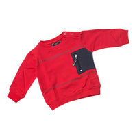 Felpa Pierre Cardin Caldo Cotone